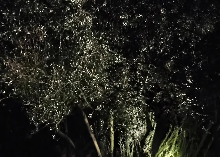 Dimora Cice 4* SantʼAgata deʼ Goti